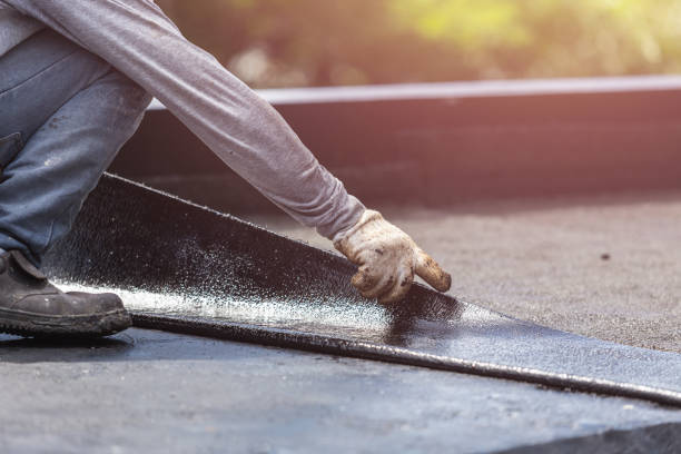 Professional Interior Drainage System technician working in Dennison, IL